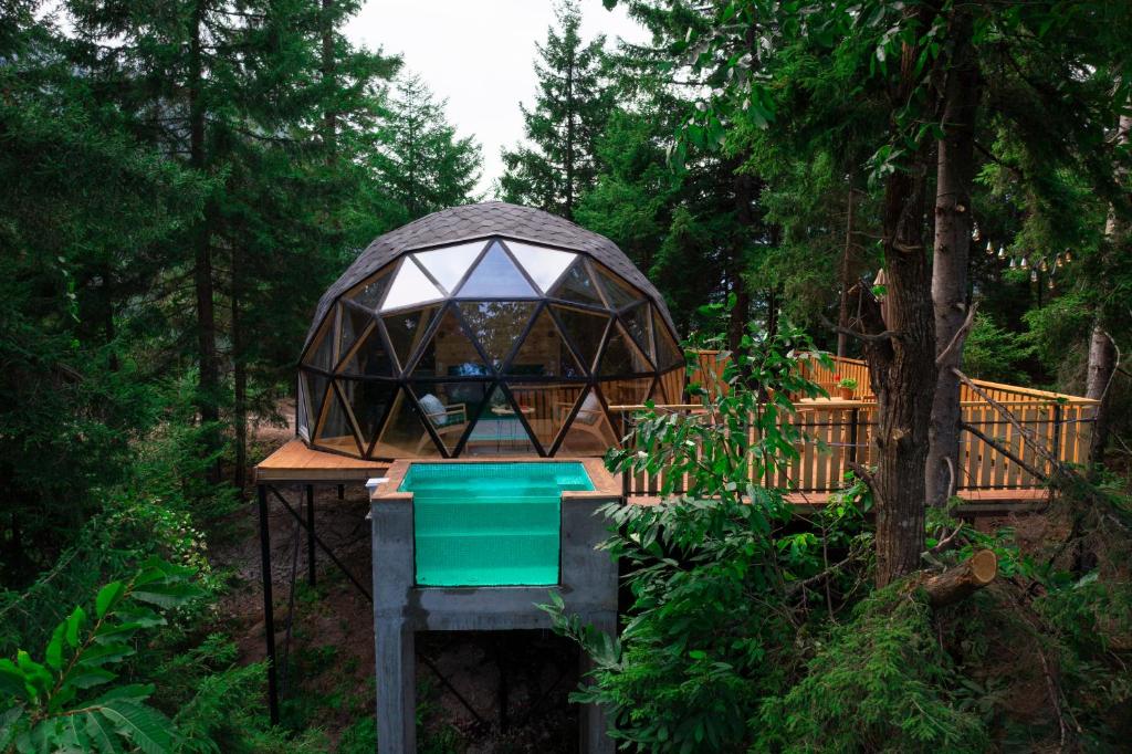 Glamping & Hospitality